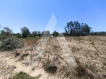 Terreno para Venda em Albergaria-A-Velha e Valmaior