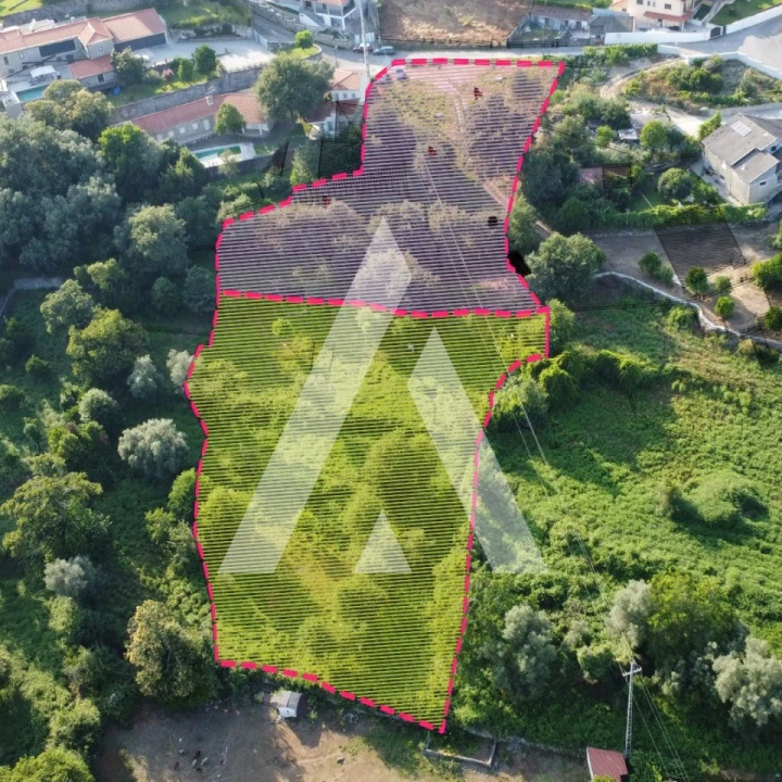 Terreno para Venda em Vila Verde e Barbudo Foto 1