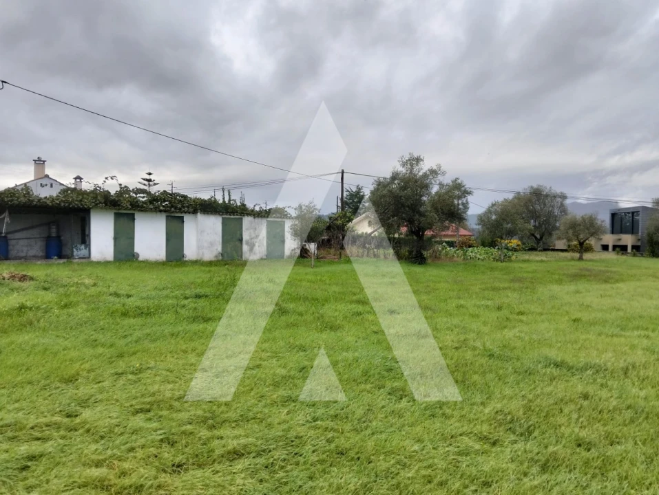 Terreno para Venda em Geraz do Lima (Santa Maria, Santa Leocádia, Moreira), Deão Foto 4