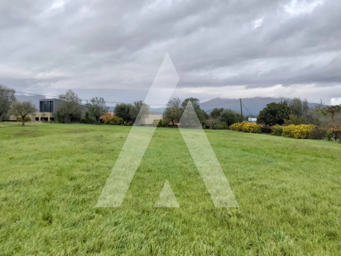 Terreno para Venda em Geraz do Lima (Santa Maria, Santa Leocádia, Moreira), Deão