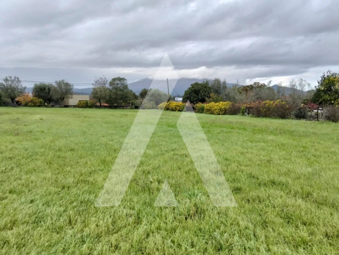 Terreno para Venda em Geraz do Lima (Santa Maria, Santa Leocádia, Moreira), Deão Foto 2