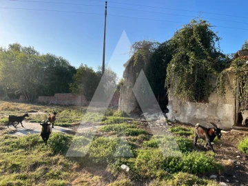 Terreno para Venda em Ílhavo (São Salvador)