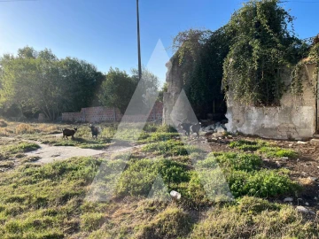 Terreno para Venda em Ílhavo (São Salvador)