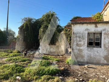 Terreno para Venda em Ílhavo (São Salvador)