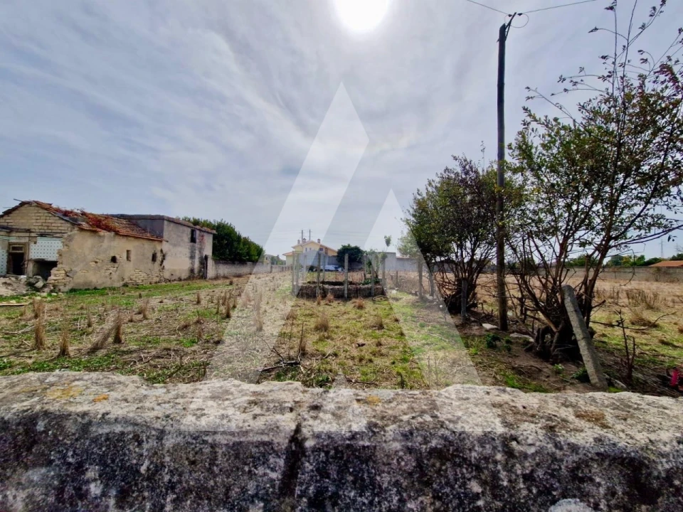 Terreno para Venda em Cacia Foto 1