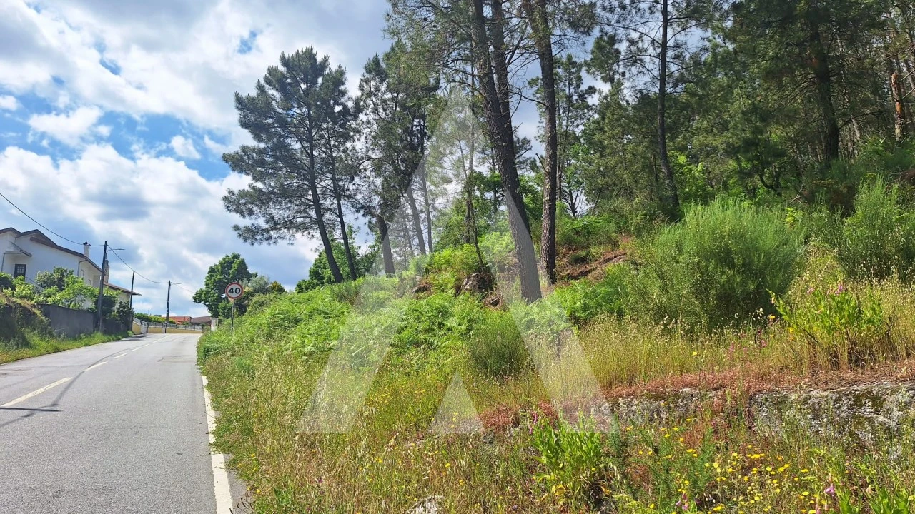 Terreno para Venda em Povolide Foto 1
