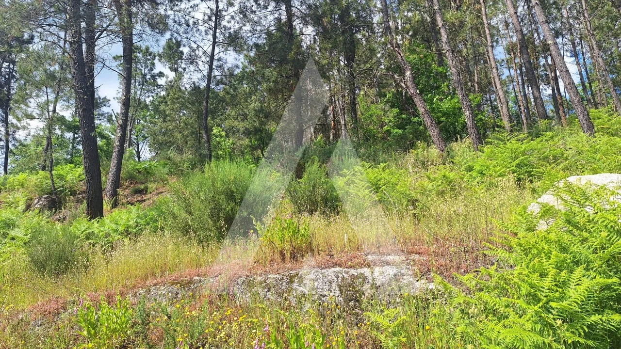 Terreno para Venda em Povolide Foto 2