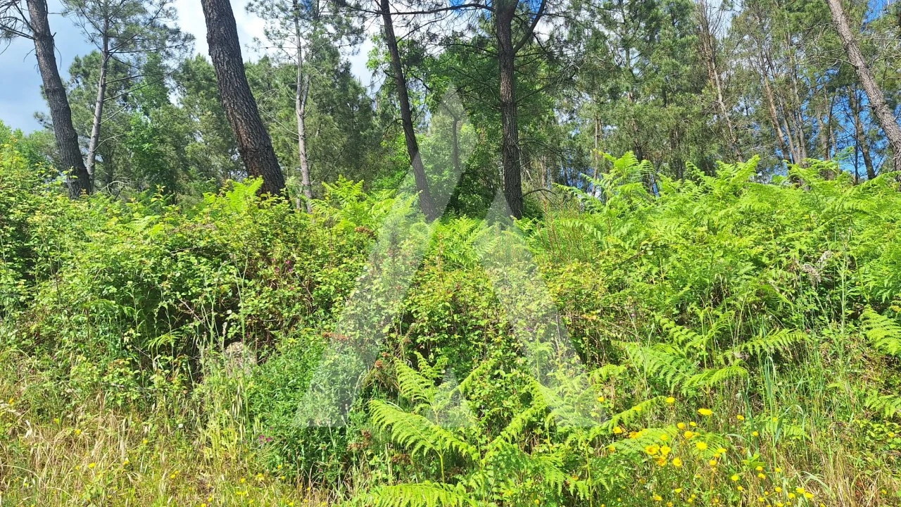 Terreno para Venda em Povolide Foto 3