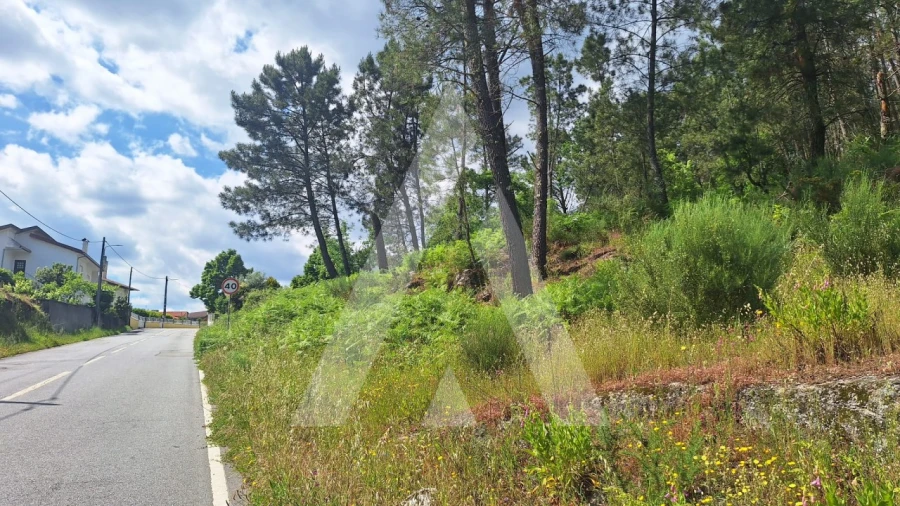 Terreno para Venda em Povolide Foto 1