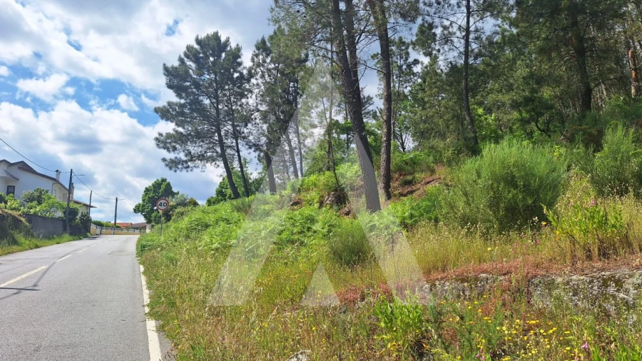Terreno para Venda em Povolide