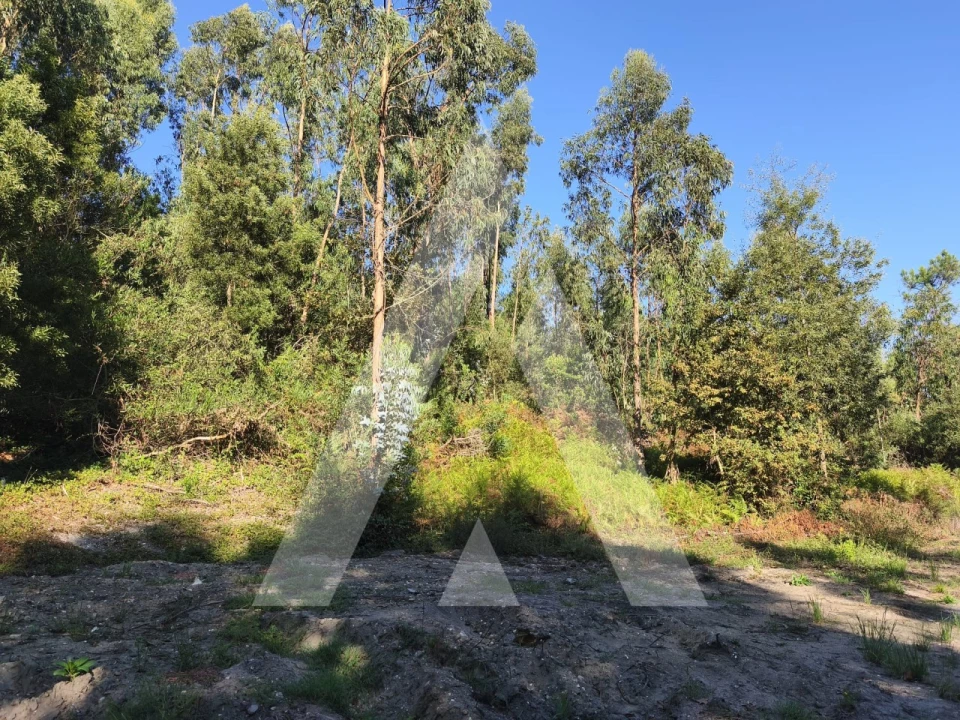 Terreno para Venda em Eixo e Eirol Foto 1