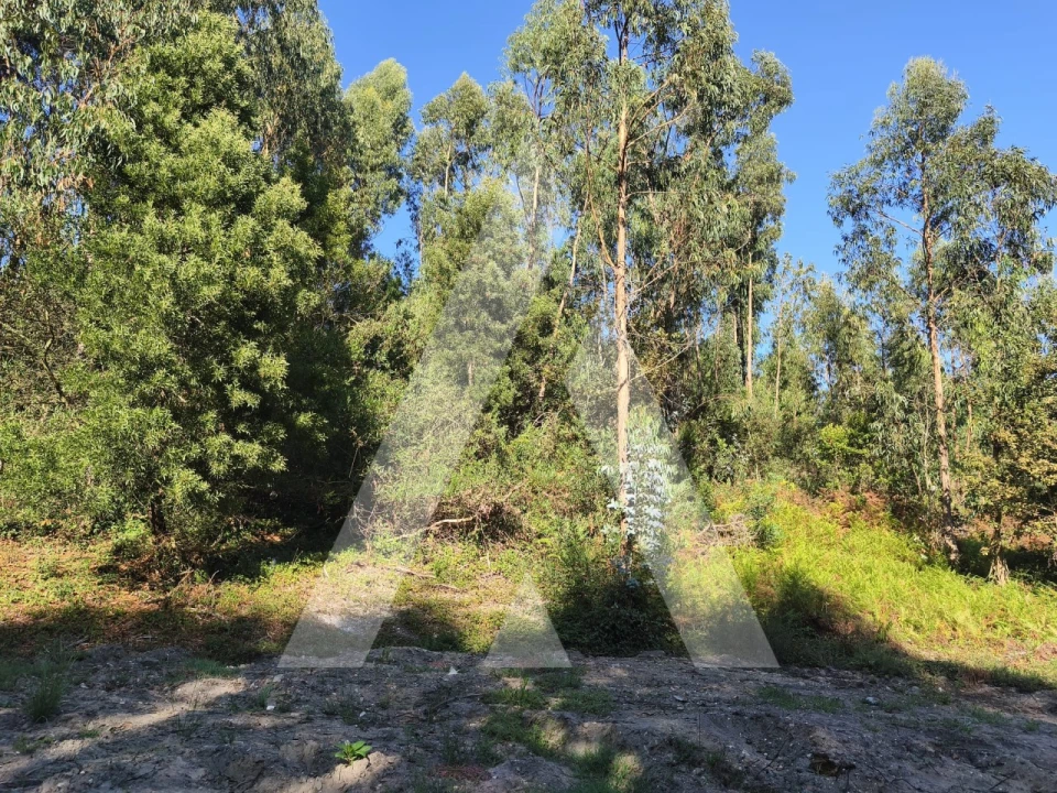 Terreno para Venda em Eixo e Eirol Foto 2