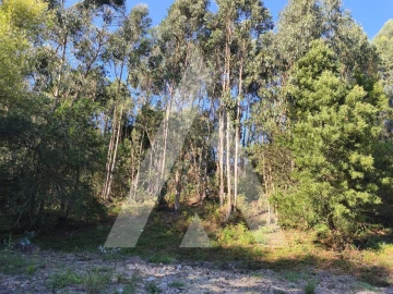 Terreno para Venda em Eixo e Eirol