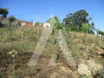 Terreno para Venda em Oiã