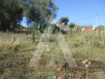 Terreno para Venda em Oiã