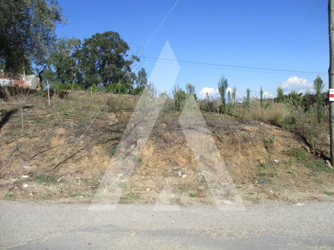 Terreno para Venda em Oiã Foto 6