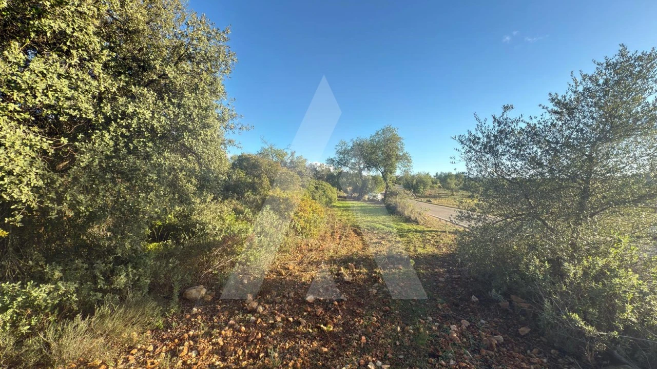 Terreno para Venda em Boliqueime Foto 2