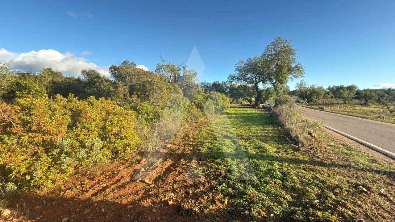 Terreno para Venda em Boliqueime Foto 3