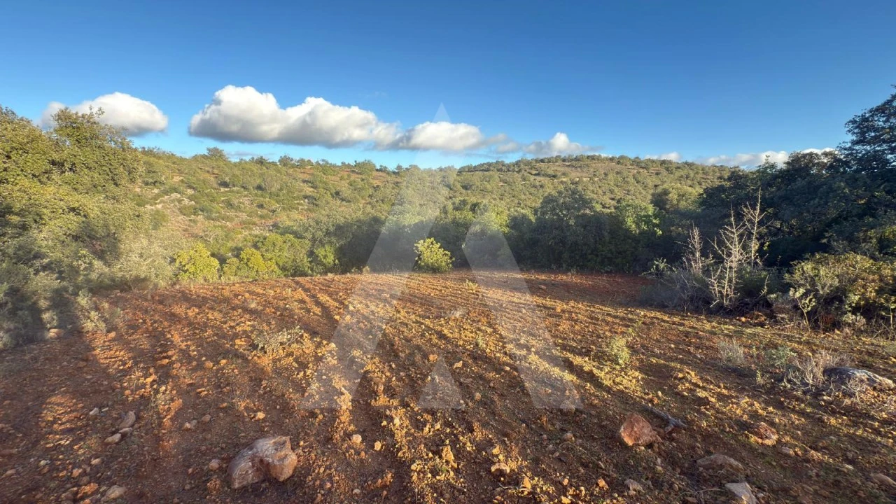 Terreno para Venda em Boliqueime Foto 9