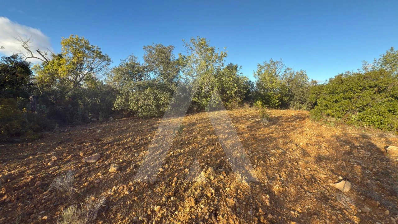 Terreno para Venda em Boliqueime Foto 13