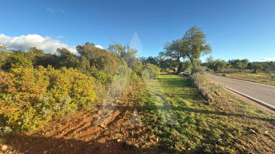 Terreno para Venda em Boliqueime Foto 3