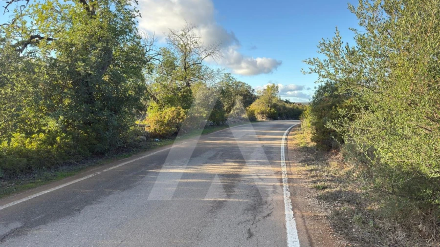 Terreno para Venda em Boliqueime Foto 15