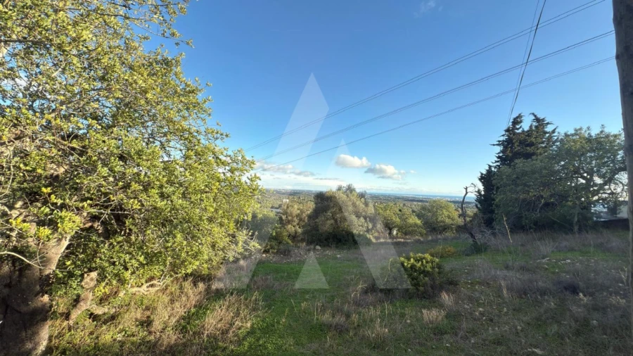 Terreno para Venda em Boliqueime Foto 2