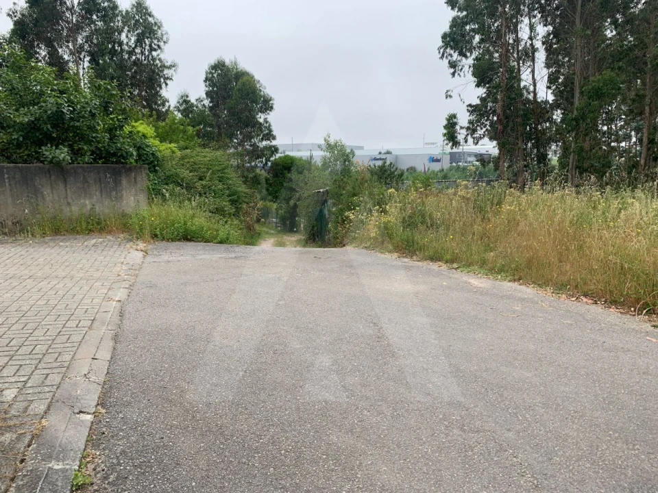 Terreno para Venda em Esgueira Foto 3