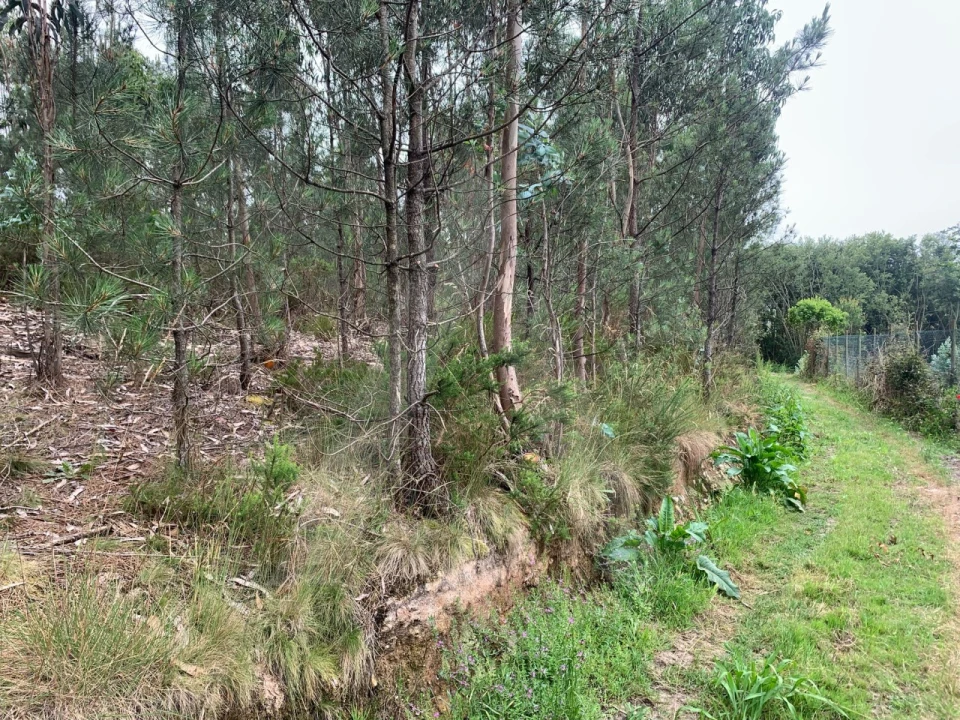 Terreno para Venda em Esgueira Foto 7