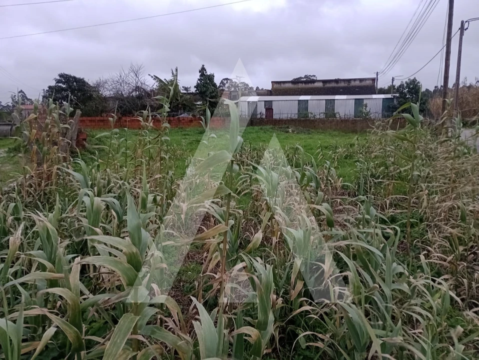 Terreno para Venda em Santo Andre de Vagos Foto 2