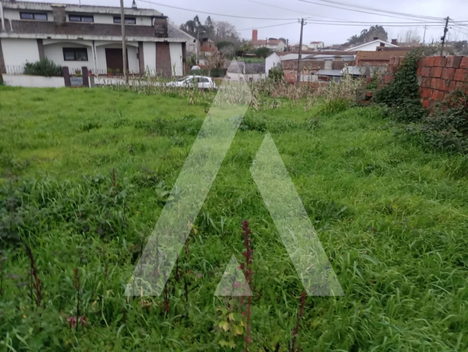Terreno para Venda em Santo Andre de Vagos Foto 4