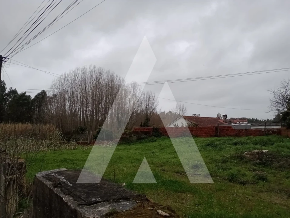 Terreno para Venda em Santo Andre de Vagos Foto 5