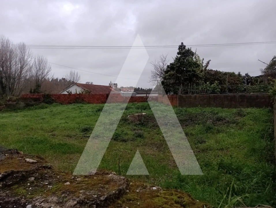 Terreno para Venda em Santo Andre de Vagos Foto 6