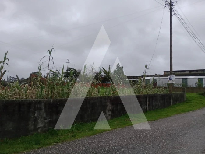 Terreno para Venda em Santo Andre de Vagos