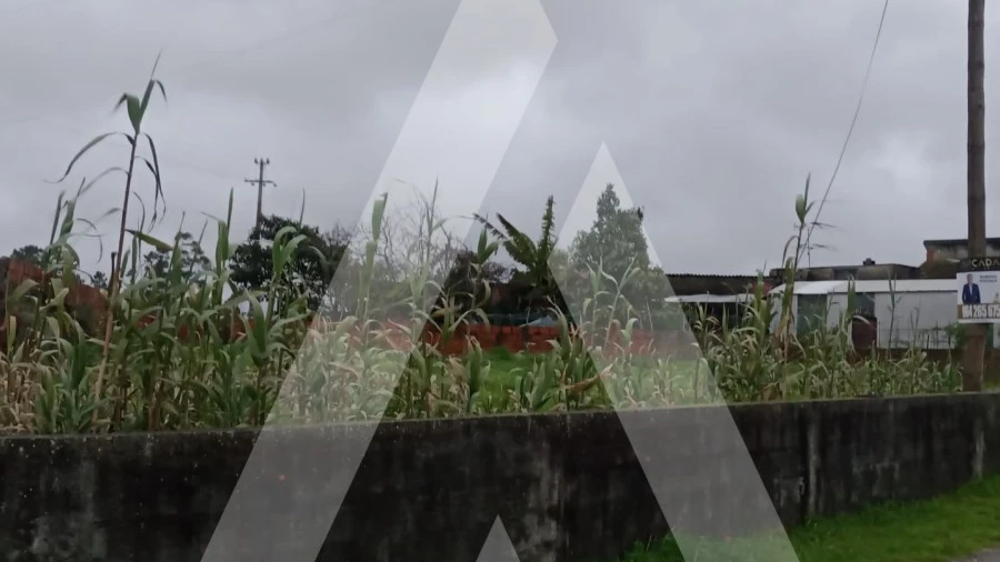 Terreno para Venda em Santo Andre de Vagos
