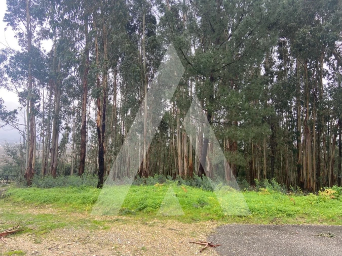 Terreno para Venda em Sangalhos