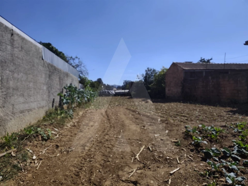 Terreno para Venda em Águeda e Borralha Foto 2
