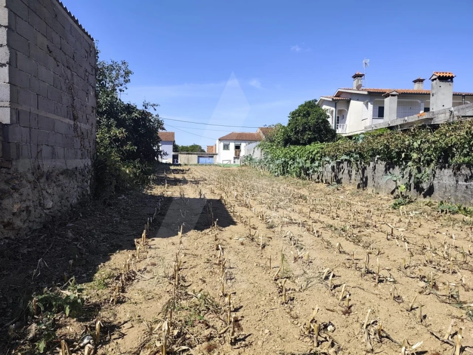 Terreno para Venda em Águeda e Borralha Foto 3