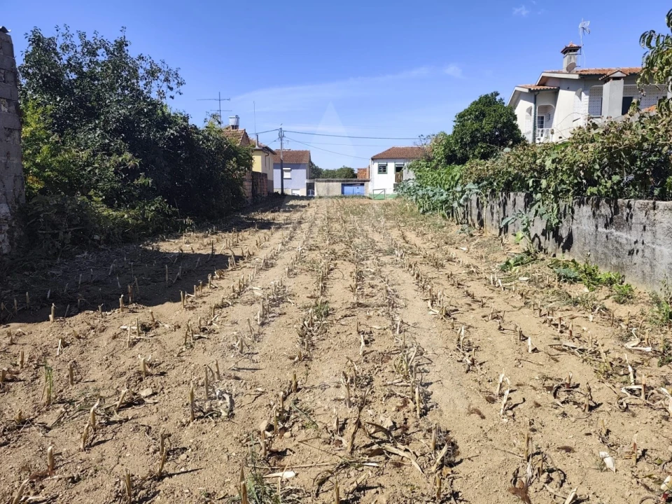 Terreno para Venda em Águeda e Borralha Foto 10