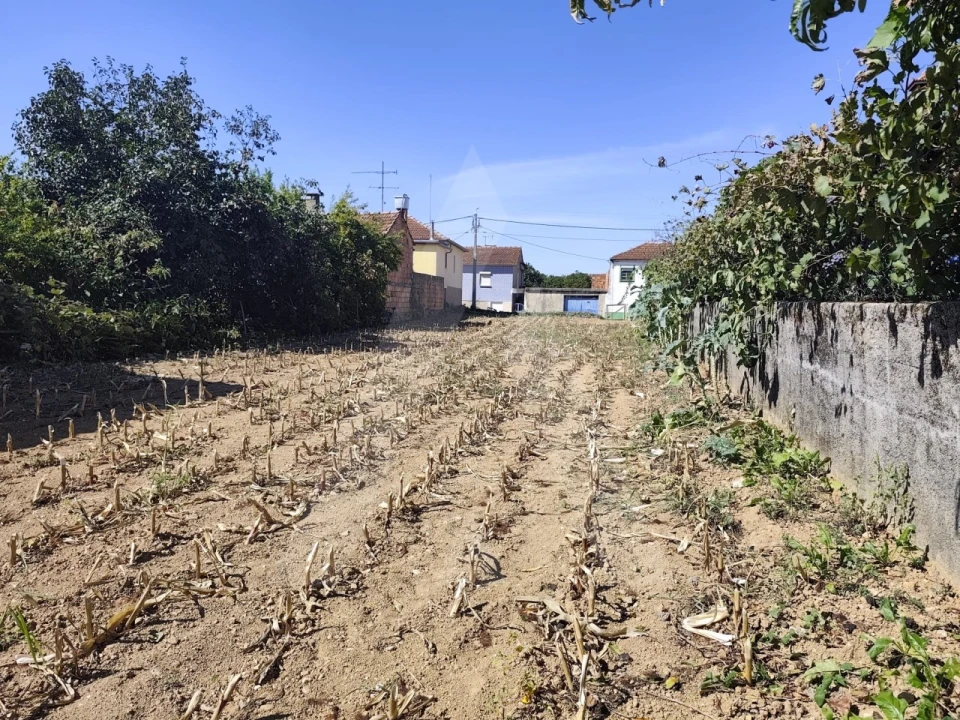 Terreno para Venda em Águeda e Borralha Foto 11