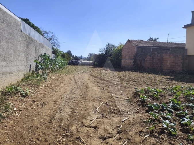 Terreno para Venda em Águeda e Borralha