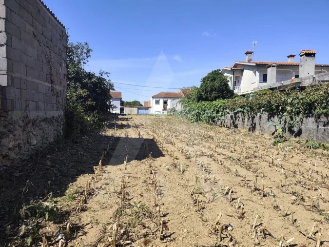 Terreno para Venda em Águeda e Borralha Foto 3