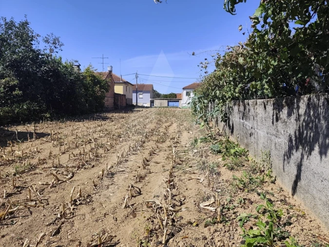 Terreno para Venda em Águeda e Borralha Foto 6