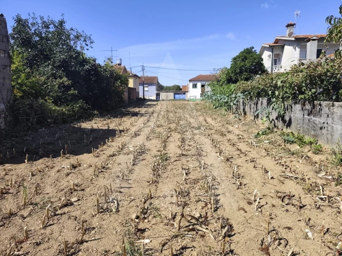 Terreno para Venda em Águeda e Borralha Foto 10