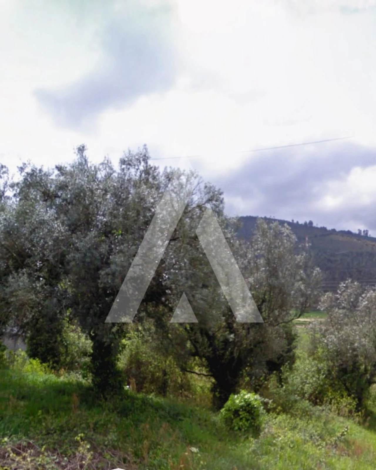 Terreno para Venda em Gondar e Orbacém Foto 6