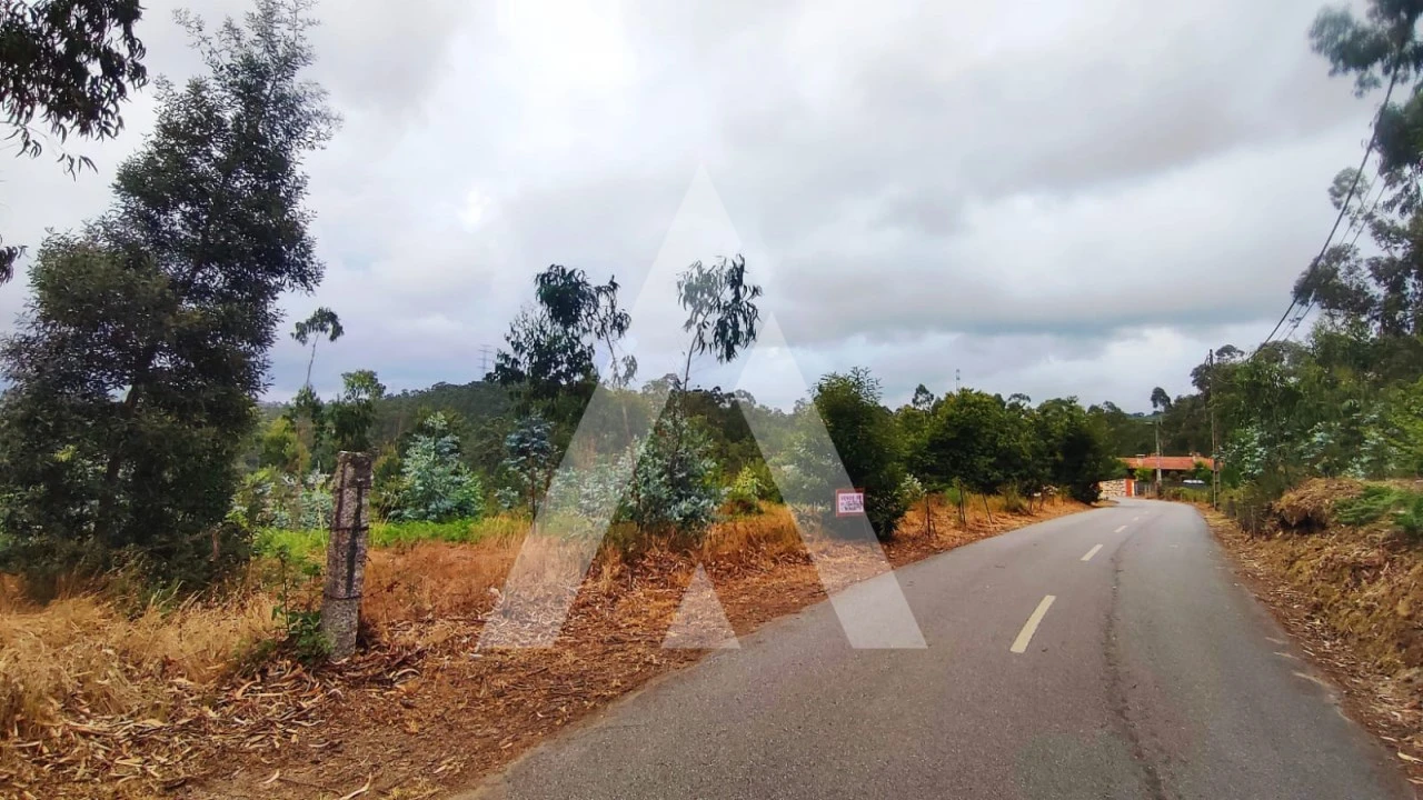Terreno para Venda em Poiares Foto 3
