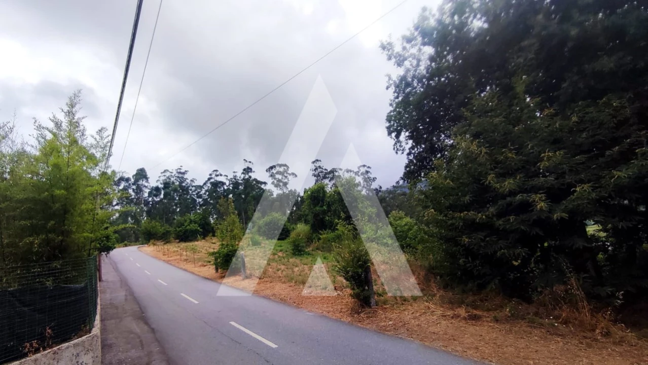 Terreno para Venda em Poiares Foto 5