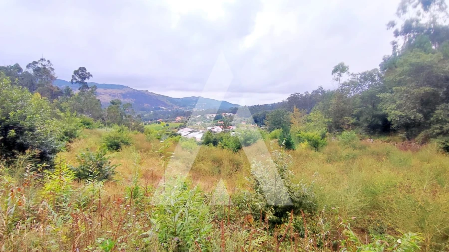 Terreno para Venda em Poiares