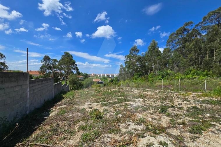 Terreno para Venda em São Bernardo Foto 6