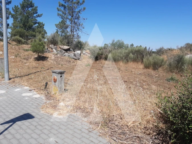 Terreno para Venda em Insua Foto 3